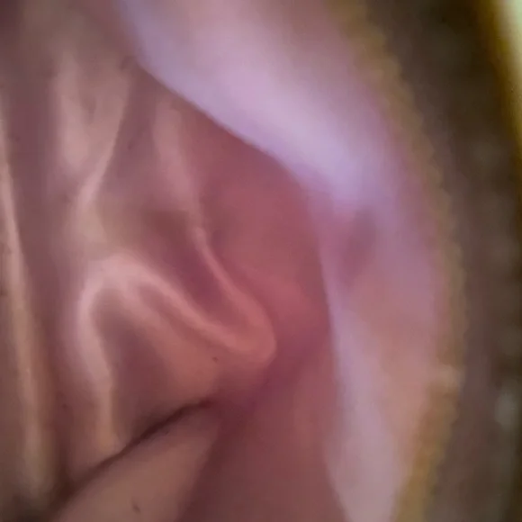 Vintage Coach Leopard Print Bag - Picture 4 of 8